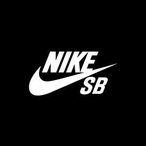 nike for skateboarding