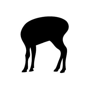 Profile picture for decapitate animals