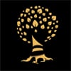 Tree of Light Films
