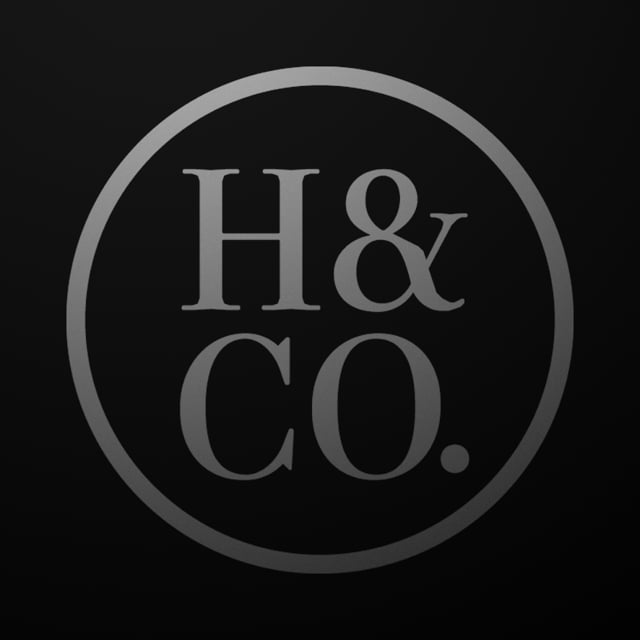 Hold co. холдинг компани. Scilex. санинвест логотип. элит секьюрити эмблема.