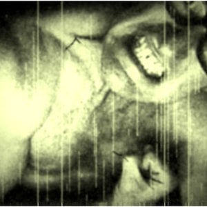 Profile picture for sniffinclose