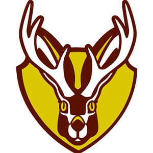 Profile picture for Jay Hollinsworth