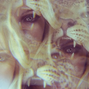 Profile picture for vision quest