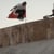 theBedouins