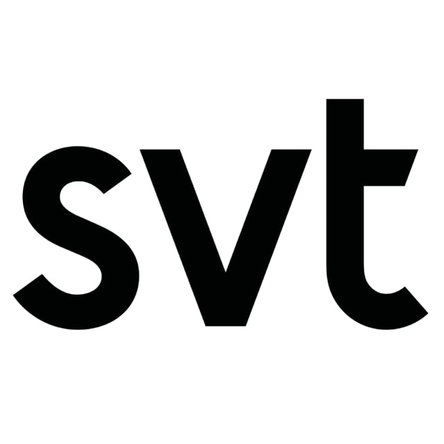 S v t