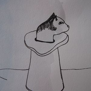 Profile picture for Anna Ottlik