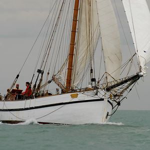 Profile picture for Voile Traditionnelle