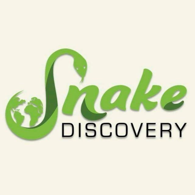 Snake Discovery