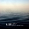 Pelagic Life