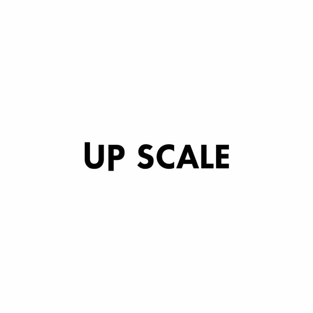 UP SCALE