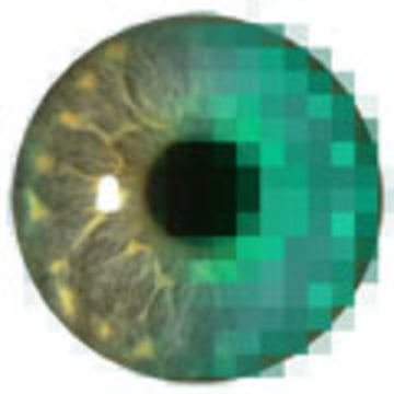 Vimeo profile picture for @ophthalmology