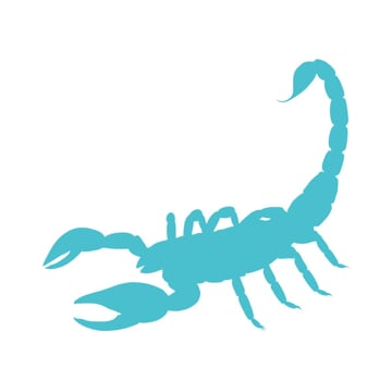 Vimeo profile picture for @scorpions