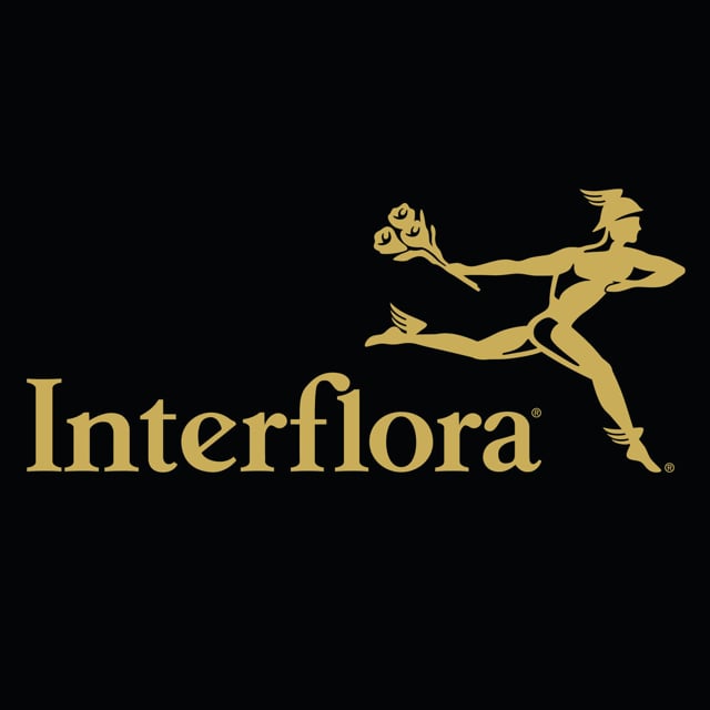 interflora teddy