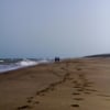 Alejandro Rojas