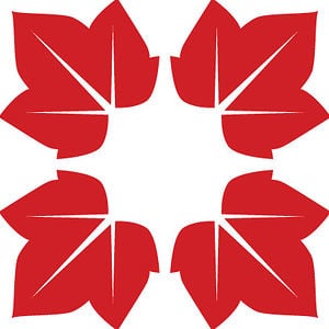 Profile picture for Maple Lane Media