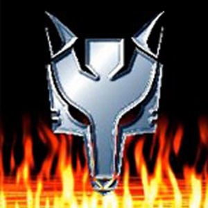 Profile picture for Lynda Rollins