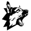 Dog Section Films