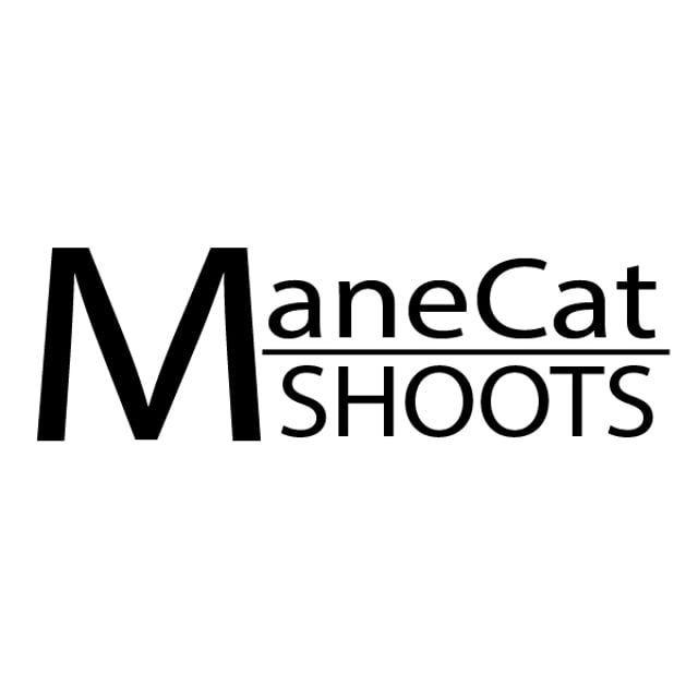 Manecat Shoots Photographer Director Editor