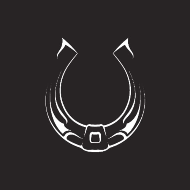 Gaucho Group Holdings, Inc.