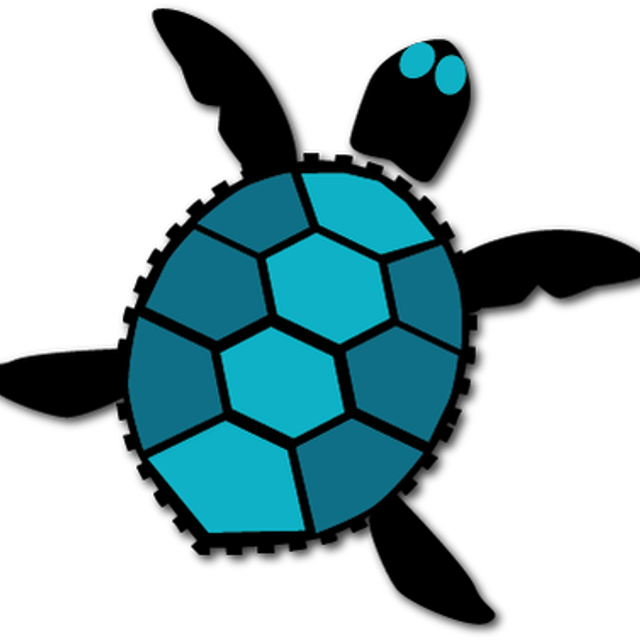 Sea Turtle Real Estate