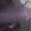 porn Star