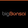 bigBonsai