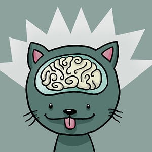 Profile picture for Catzi Laboratoriums