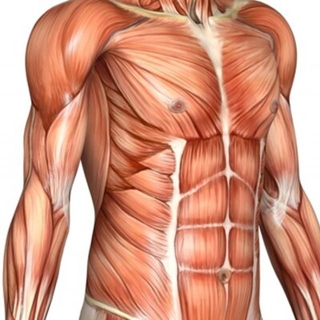 GLMSKUS,® INC. MSKUS Training