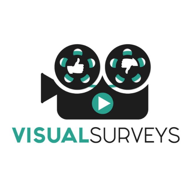 Visual Surveys