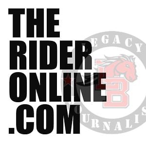 Profile picture for therideronline