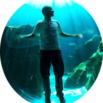 Vimeo profile picture for @mcguire