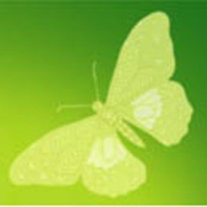 Profile picture for Body Mind Gifts