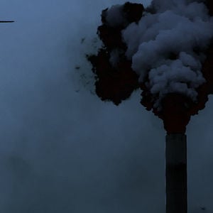 Profile picture for 3d Studio Prins
