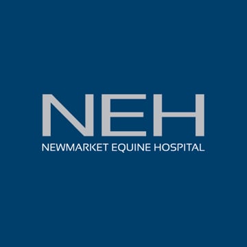 Vimeo profile picture for @neh