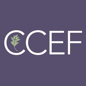 Image result for ccef