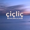 Ciclic