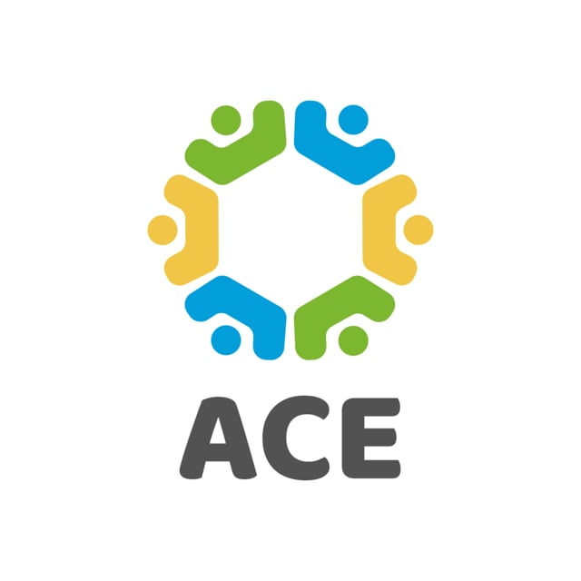 ACE Detailed Study Plan