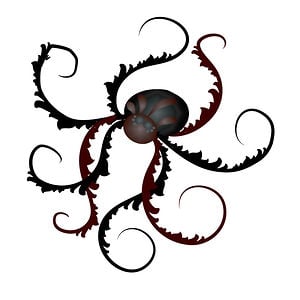 Profile picture for Velodona