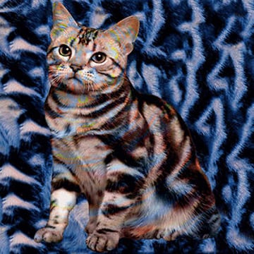 Vimeo profile picture for @exam