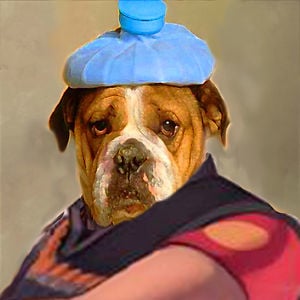 Profile picture for pierre-jean lievaux