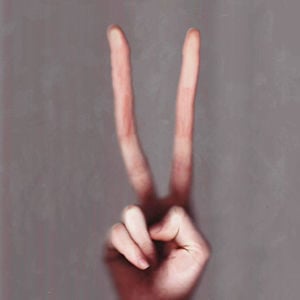 Profile picture for Nicholas Shelton