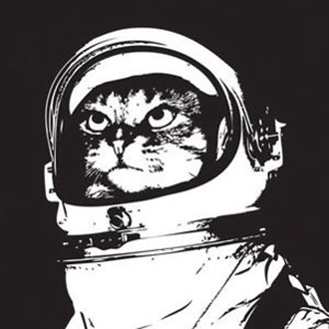 Кот в скафандре рисунок