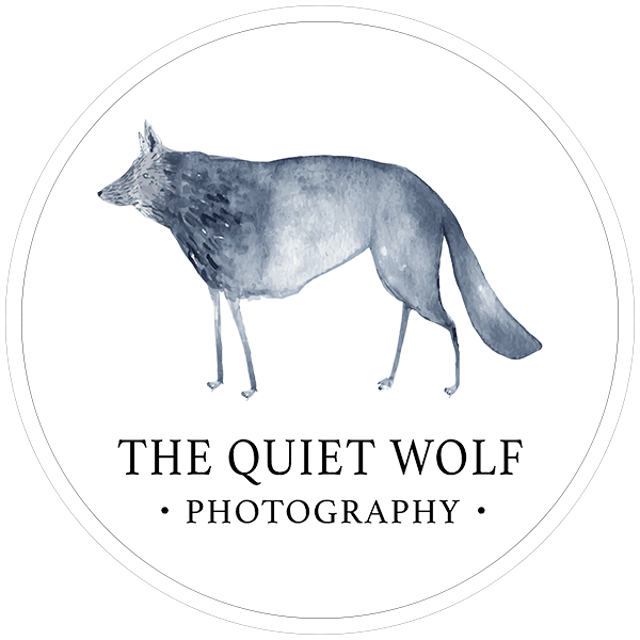 The Quiet Wolf Photography