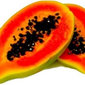 Vimeo profile picture for @papayas
