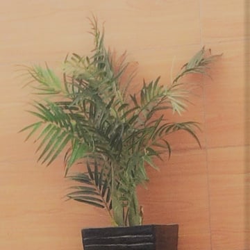 Vimeo profile picture for @nonexistent
