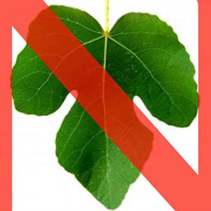 Profile picture for Active Naturists