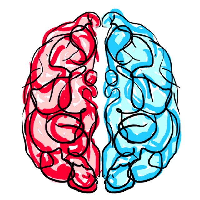 Левое полушарие мозга инсульт. Мозг рисунок. Мозг нарисованный. Прозрачный мозг.