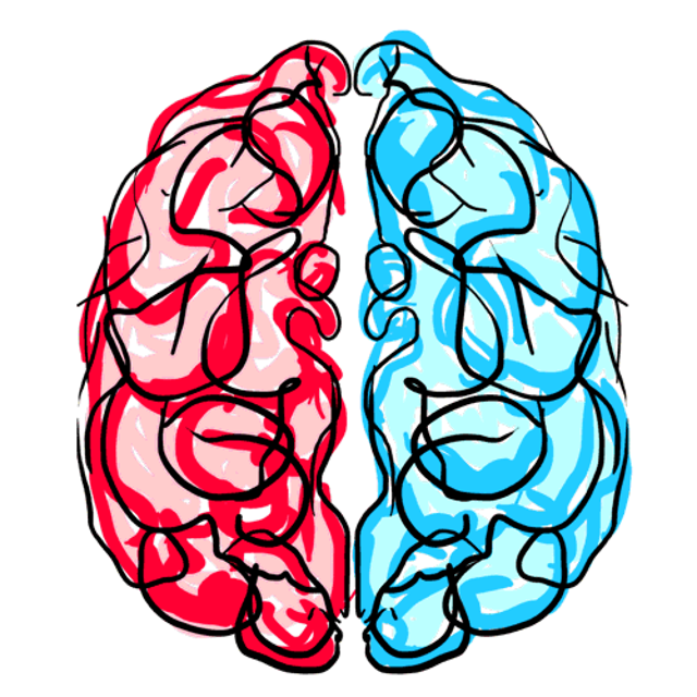 Brain 2. Мозг рисунок. Мозг нарисованный.
