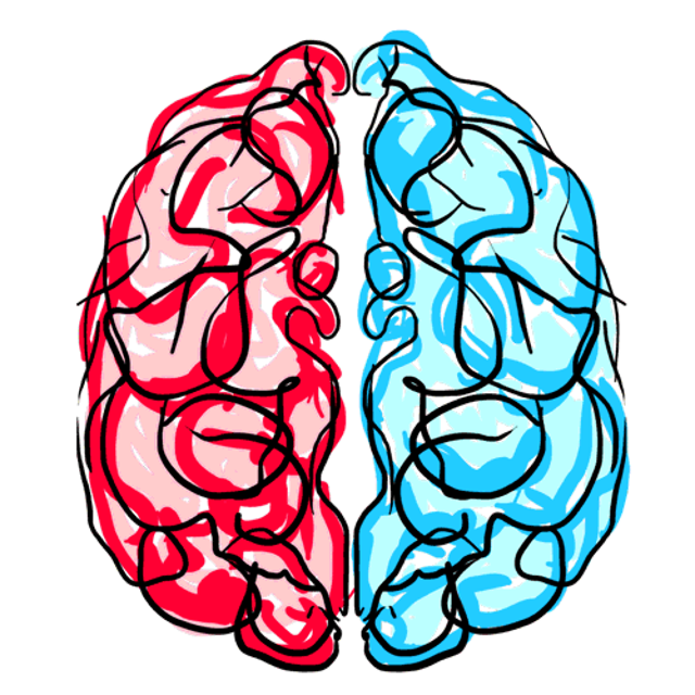 Нарушение полушарий мозга. Мозг рисунок. Мозг нарисованный. Прозрачный мозг.