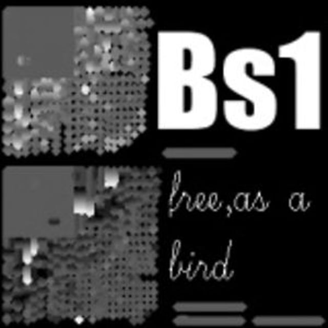 Bs1